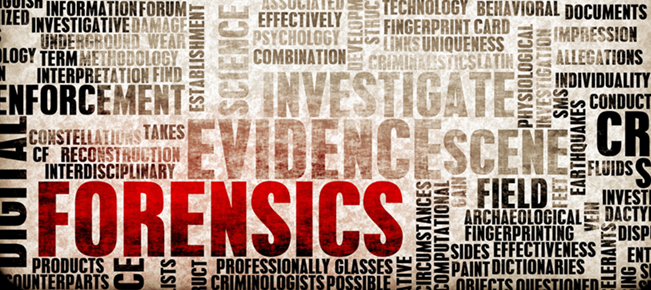 forensic-cleaning