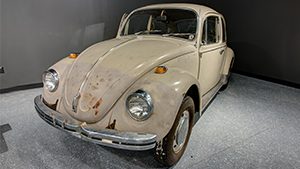 Beetle Graphic 300 x 169