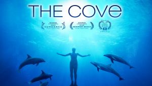 The Cove