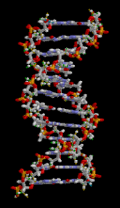 Origin of Forensic Science- DNA