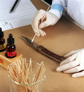 Forensic scientist - trace evidence