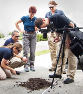 Forensic science- soil analysis